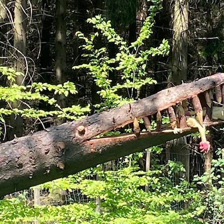 Haus Lila Welle Lägenhet Nordhalben Exteriör bild